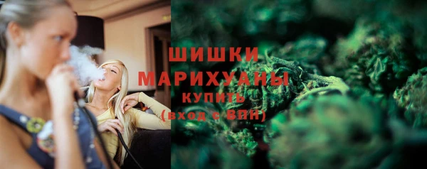 индика Нея