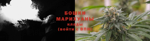 крисы Арсеньев