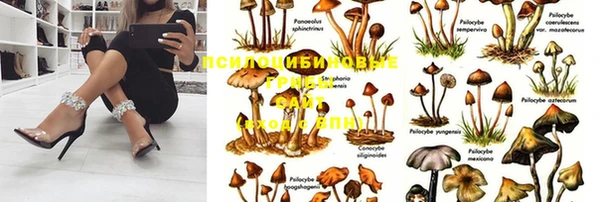 крисы Арсеньев