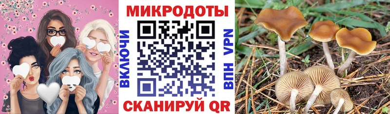 гидра сайт  Сухиничи  Псилоцибиновые грибы MAGIC MUSHROOMS 